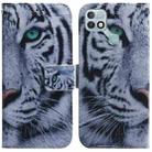 For Infinix Hot 10i / Smart 5 Pro X659B / PR652B / S658E Coloured Drawing Leather Phone Case(Tiger) - 1