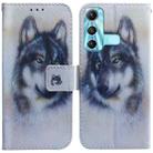 For Infinix Hot 11 X662 Coloured Drawing Leather Phone Case(White Wolf) - 1