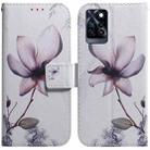 For Infinix Note 10 Pro X695 Coloured Drawing Leather Phone Case(Magnolia Flower) - 1