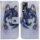 For Infinix Note 11 Coloured Drawing Leather Phone Case(White Wolf) - 1