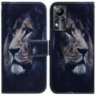 For Infinix Note 11 Coloured Drawing Leather Phone Case(Lion) - 1