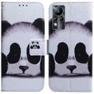 For Infinix Note 11 Coloured Drawing Leather Phone Case(Panda) - 1