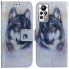 For Infinix Note 11 Pro / Note 11s Coloured Drawing Leather Phone Case(White Wolf) - 1