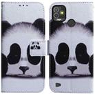 For Tecno Pop 5P Coloured Drawing Leather Phone Case(Panda) - 1
