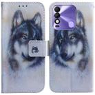 For Tecno Spark 8 / 8T Coloured Drawing Leather Phone Case(White Wolf) - 1