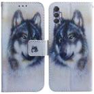 For Tecno Spark 8P Coloured Drawing Leather Phone Case(White Wolf) - 1