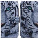 For Tecno Spark 8P Coloured Drawing Leather Phone Case(Tiger) - 1