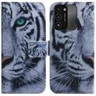 For Tecno Spark Go 2022 / Spark 8C Coloured Drawing Leather Phone Case(Tiger) - 1