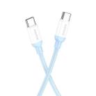 Borofone BX68 100W USB-C / Type-C to Type-C Charging Data Cable, Length:1m(Blue) - 1