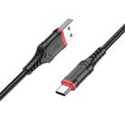 Borofone BX67 1m 2.4A USB to Type-C Charging Sync Data Cable(Black) - 1