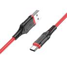 Borofone BX67 1m 2.4A USB to Type-C Charging Sync Data Cable(Red) - 1