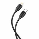 Borofone BX19 3m Type-C to 8 Pin PD 20W Charging Data Cable(Black) - 1