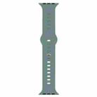 Liquid Silicone Watch Band For Apple Watch Ultra 49mm / Series 8&7 45mm / SE 2&6&SE&5&4 44mm / 3&2&1 42mm(Pine Green) - 1