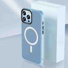 Skin Feel TPU + Frosted PC MagSafe Phone Case For iPhone 11(Yuanfeng Blue) - 1