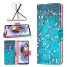 For Motorola Moto G31 / G41 Colored Drawing Pattern Leather Phone Case(Plum Blossom) - 1