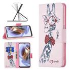 For Motorola Moto G31 / G41 Colored Drawing Pattern Leather Phone Case(Deer) - 1