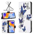 For Xiaomi Redmi Note 11 Pro International Colored Drawing Leather Phone Case(Butterflies) - 1