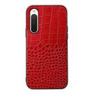 For Sony Xperia 10 IV Crocodile Top Layer Cowhide Leather Phone Case(Red) - 1