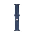 For Apple Watch Series 7 41mm / 6 & SE & 5 & 4 40mm / 3 & 2 & 1 38mm Mutural Liquid Silicone Watch Band(Blue) - 1