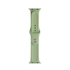 For Apple Watch Ultra 49mm / Series 8&7 45mm / SE 2&6&SE&5&4 44mm / 3&2&1 42mm Mutural Liquid Silicone Watch Band(Mint Green) - 1