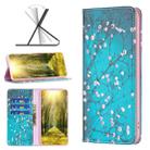 For Xiaomi Redmi 10C Colored Drawing Invisible Magnetic Leather Phone Case(Plum Blossom) - 1
