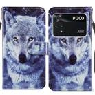 For Xiaomi Poco M4 Pro Painted Pattern Horizontal Flip Leather Phone Case(White Wolf) - 1