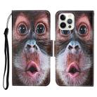 For iPhone 13 Pro Max Colored Drawing Pattern Horizontal Flip Leather Phone Case (Orangutan) - 1