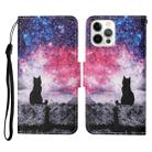 For iPhone 13 Pro Max Colored Drawing Pattern Horizontal Flip Leather Phone Case (Starry Cat) - 1