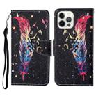 For iPhone 13 Pro Max Colored Drawing Pattern Horizontal Flip Leather Phone Case (Feather) - 1