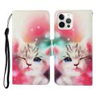 For iPhone 13 Pro Max Colored Drawing Pattern Horizontal Flip Leather Phone Case (Squint Cat) - 1