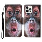 For iPhone 13 Pro Colored Drawing Pattern Horizontal Flip Leather Phone Case (Orangutan) - 1