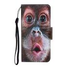 For iPhone 13 Pro Colored Drawing Pattern Horizontal Flip Leather Phone Case (Orangutan) - 2