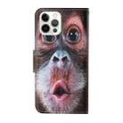 For iPhone 13 Pro Colored Drawing Pattern Horizontal Flip Leather Phone Case (Orangutan) - 3