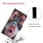For iPhone 13 Pro Colored Drawing Pattern Horizontal Flip Leather Phone Case (Orangutan) - 7