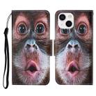 For iPhone 13 Colored Drawing Pattern Horizontal Flip Leather Phone Case(Orangutan) - 1