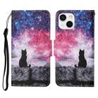 For iPhone 13 Colored Drawing Pattern Horizontal Flip Leather Phone Case(Starry Cat) - 1