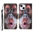 For iPhone 13 mini Colored Drawing Pattern Horizontal Flip Leather Phone Case (Orangutan) - 1