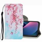For iPhone 13 mini Coloured Drawing Pattern Leather Phone Case (Cherry Blossoms) - 1