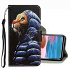 For Xiaomi Redmi Note 10 Pro 3D Colored Drawing Leather Phone Case(Down Jacket Cat) - 1