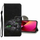 For iPhone 13 Colored Drawing Pattern Flip Leather Case(Black Cat) - 1