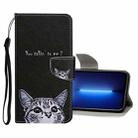 Colored Drawing Pattern Flip Leather Case For iPhone 13 Pro Max(Little Cat) - 1