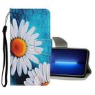 For iPhone 13 Pro Max Colored Drawing Pattern Flip Leather Case (Daisy) - 1