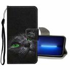 For iPhone 13 Pro Max Colored Drawing Pattern Flip Leather Case (Black Cat) - 1