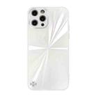 For iPhone 11 Pro Max CD Texture TPU + Tempered Glass Phone Case (White) - 1