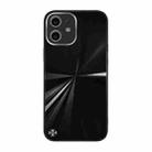 For iPhone 12 CD Texture TPU + Tempered Glass Phone Case(Black) - 1
