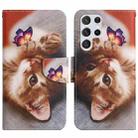 For Samsung Galaxy S22 Ultra 5G Painted Pattern Horizontal Flip Leather Phone Case(Butterfly Cat) - 1