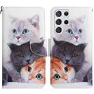 For Samsung Galaxy S22 Ultra 5G Painted Pattern Horizontal Flip Leather Phone Case(Three Cats) - 1