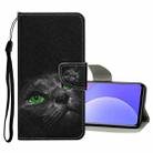 For Xiaomi Redmi K40 Colored Drawing Pattern Flip Leather Case(Black Cat) - 1