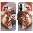 For Xiaomi Redmi K40 Painted Pattern Flip Leather Phone Case(Butterfly Cat) - 1