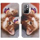 For Xiaomi Redmi Note 11 5G China Painted Pattern Flip Leather Phone Case(Butterfly Cat) - 1